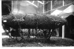 Circa 1912 Gravenstein Apple Show, display of a dirigible made of apples