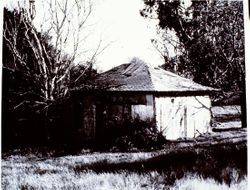 Luther Burbank's Gold Ridge Experiment farm cottage before restoration, 1970