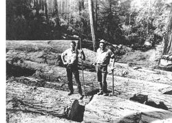 Ralph S. Sturgeon, left-owner and operator and Wilbur Henningsen, holding the axe at Sturgeon Sawmill, September 5, 1945