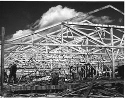 Wrecking of the Sebastopol Apple Growers Union packinghouse in 1956 to make room for the construction of the new Veterans Memorial Building on High Street