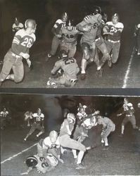 Analy High School Tigers football team of fall 1950--Analy Tigers vs Santa Rosa, Friday November 9th, 1950