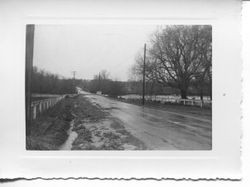 1951 floodwaters by Mill Station Road at Atascadero Creek, Sebastopol, California