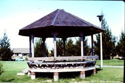Construction of the gazebo at Brookhaven Park in Sebastopol, summer 1976