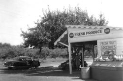 Zimpher's Fruit Stand, about 1955