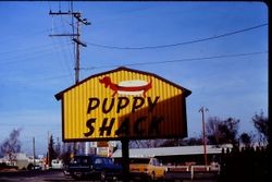 Puppy Shack sign for hotdog caf on Highway 116 South in Sebastopol, California, February 1977