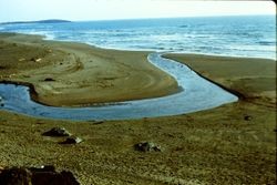 Salmon Creek as it flows into the Pacific Ocean at Bodega Bay, April 1983