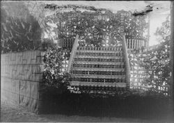 Gravenstein Apple Show exhibit, about 1915 in Sebastopol, showing large unidentified display with jars or cans made into a stairway