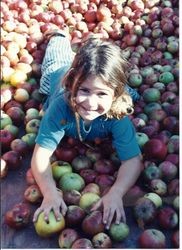 Young Emily Pinnow amidst Gravenstein apples, October 4, 1992 in Sebastopol