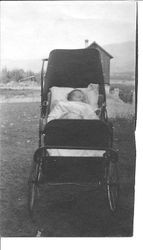 Infant Dorothy Kingwell, daughter of Alfred Leslie Kingwell, in baby buggy, about 1916