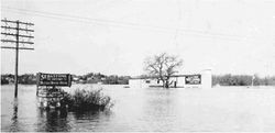 Flooded Laguna de Santa Rosa east of the town of Sebastopol