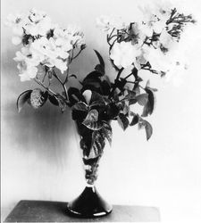 Vase of roses AA-5 from the Burbank Experiment Farm