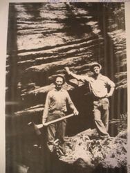 Elmer and Frank Mason, Mendocino County logging