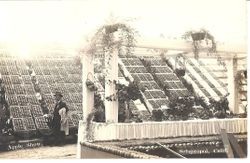 1913 Gravenstein Apple Show exhibits with boxes of apples stacked in the background