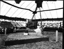 Gravenstein Apple Show, about 1930, with a display by Geyserville with a boy and girl manikins on a see-saw