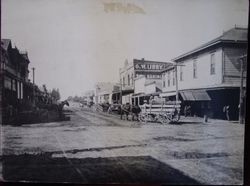 North Main Street Sebastopol, about 1900