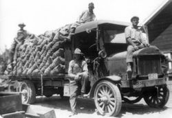 Sacks of apples stacked on the flat bed of a truck with four men on the Garbo Orchard, about mid 1910s