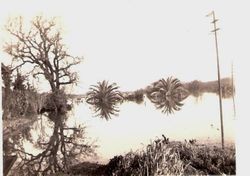 Laguna campground flooded, 1930s