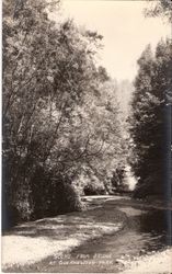 Scene from bridge at Guernewood Park