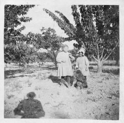 Alice Riddell and her sister Blanche with their dog Vicky in an orchard, about 1908