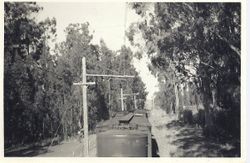 P&SR train at an unknown location, about 1905