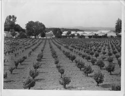 W. A. Taylor Winery on Laguna Road in Sebastopol, California