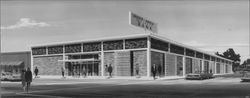 Proposed Crocker-Anglo National Bank building at 125 Western Ave., Petaluma, California, 1960