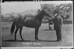 Barnett Dillon