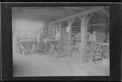 People coring apples at Frei Brothers processing plant, Sebastopol, California