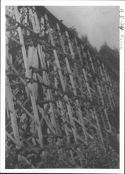 Browns Canyon trestle being dismantled by C.J. Ferguson