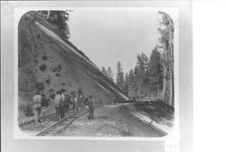 Ballasting and leveling the track of the Northwestern Pacific Railroad, Ukiah, California, 1910
