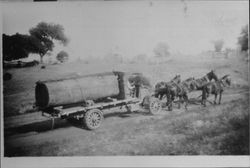 Horses pulling a truck loaded with a redwood log near Thorpe's Sawmill