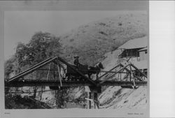 Donkey drawn mine car on a bridge