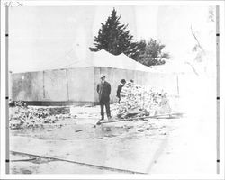 Men standing near pile of bricks, Santa Rosa, California, 1906