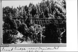 Brown's Canyon trestle, Occidental, California, 1927