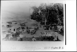 Furlong Ranch on Willow Creek — Calisphere