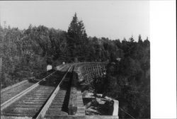 Trestle between Occidental and Camp Meeker on the narrow gauge