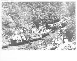 Women sitting on a log being pulled by a team of oxen