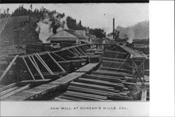 Saw mill at Duncan's Mills, Cal
