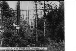 137 ft. R.R. bridge near Occidental, Cal