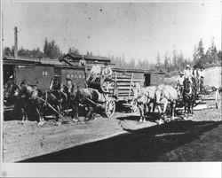 Wagon load of grapes at Railroad Depot