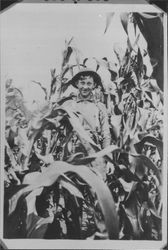 Ernest Richard Speckter among the cornstalks