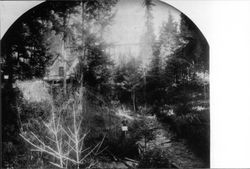 Lucian Bruce near Brown's Canyon Trestle, Occidental, California