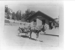 Two boys in a donkey cart at Cazadero railroad station