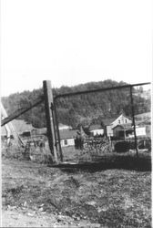 Occidental, California, looking northeast from Coleman Valley Road, 1924