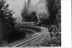 Train near Camp Meeker, California