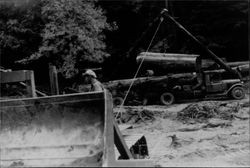 Dick Beedle logging at Gualala