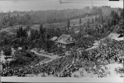 View of Pieroni ranch