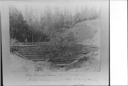 Ira T. Ward's dam