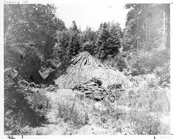 Charcoal mound teepee under construction