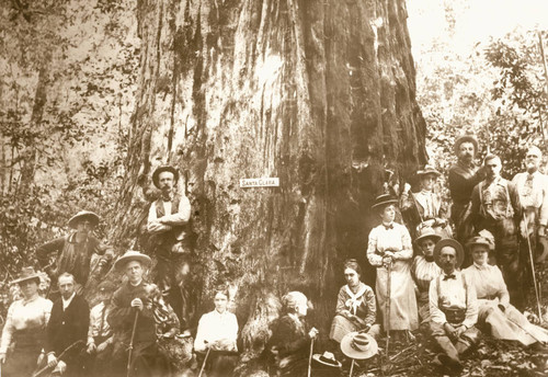 Santa Clara Conservationists assembled at the base of the ""Santa Clara Tree"" in Big Basin Redwoods State Park